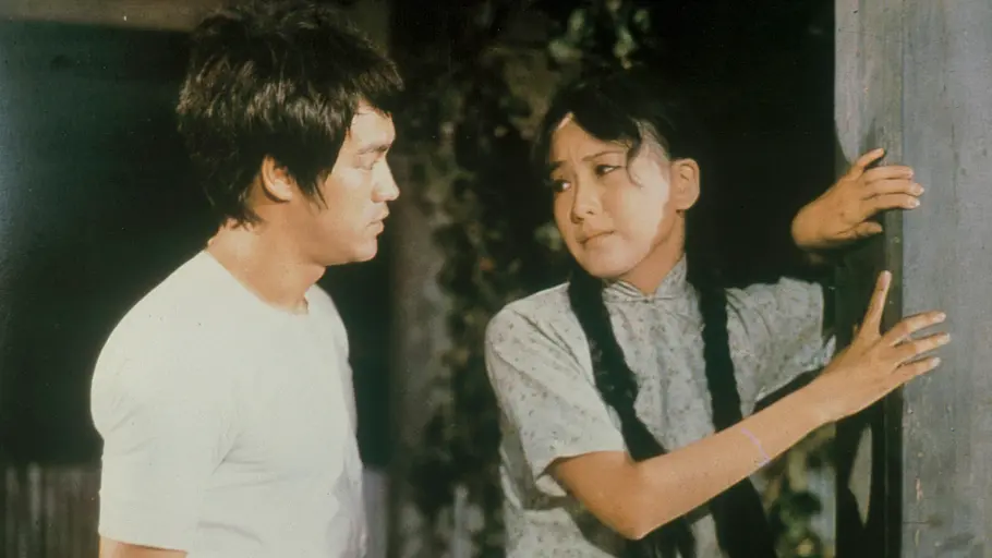 Bruce Lee - Die Todesfaust des Chen Li bruce lee - die todesfaust des chen li