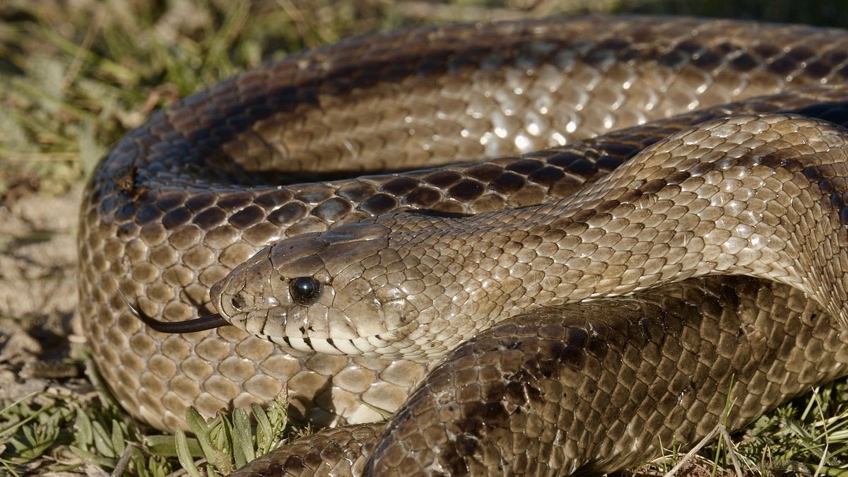 europas verborgene naturwunder