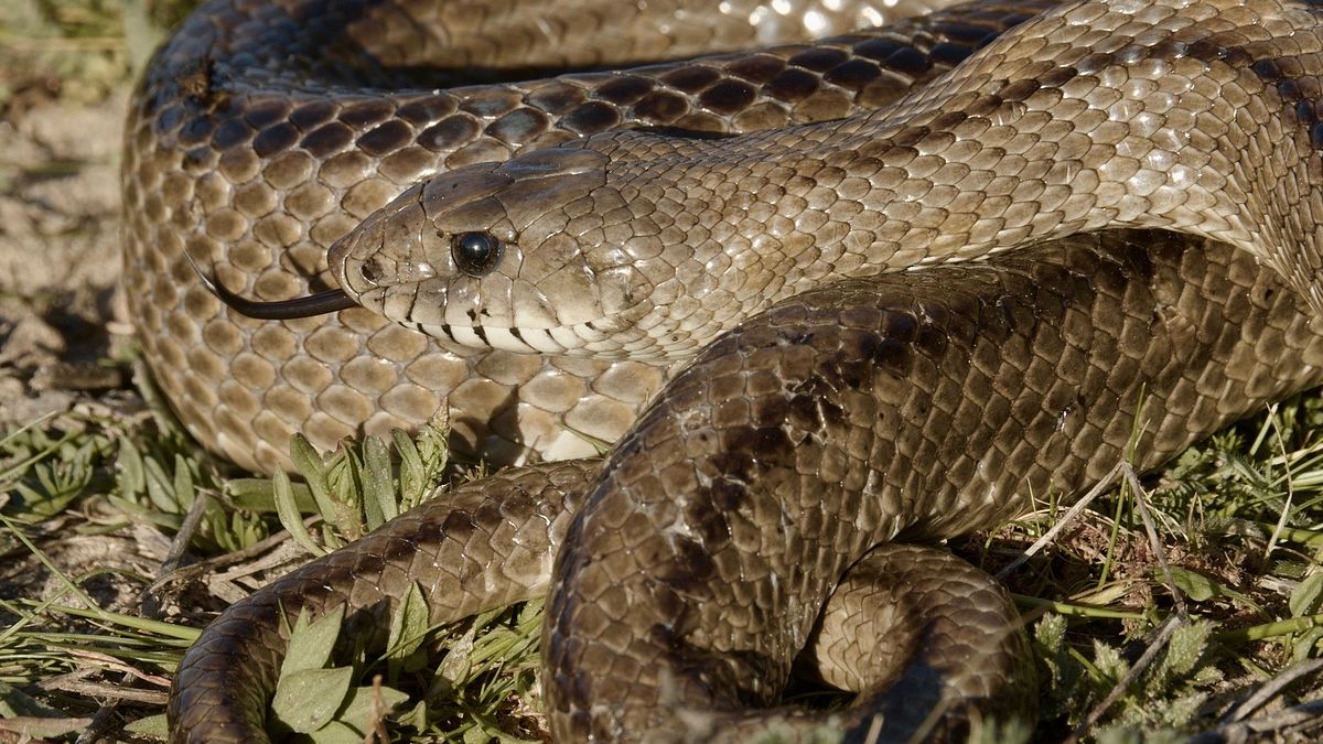 europas verborgene naturwunder