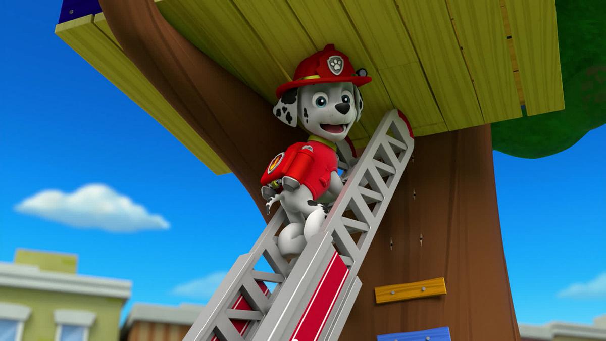paw patrol - helfer auf vier pfoten