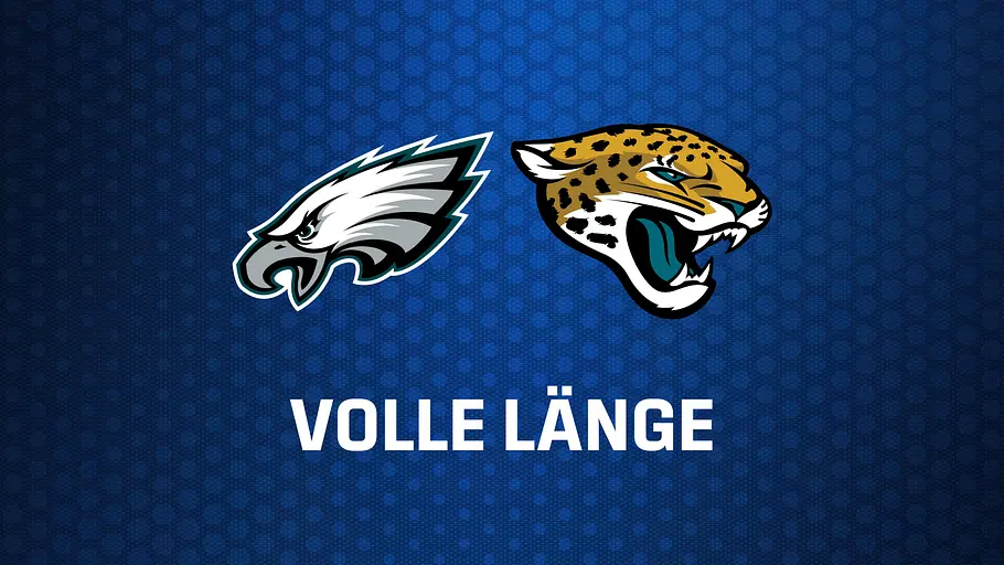 American Football: NFL american football: nfl