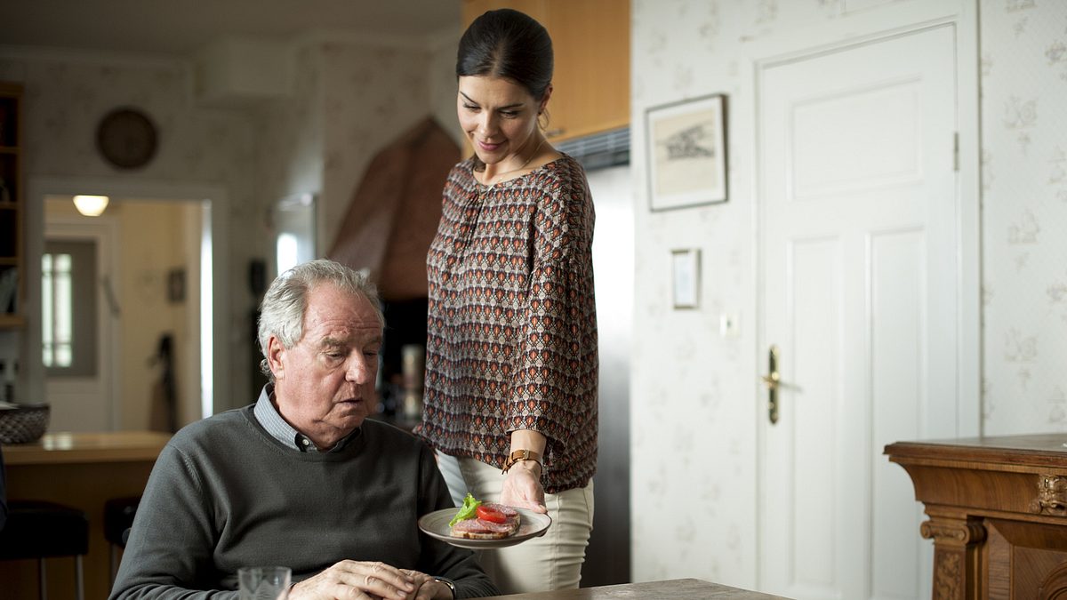 inga lindström: alle lieben elin