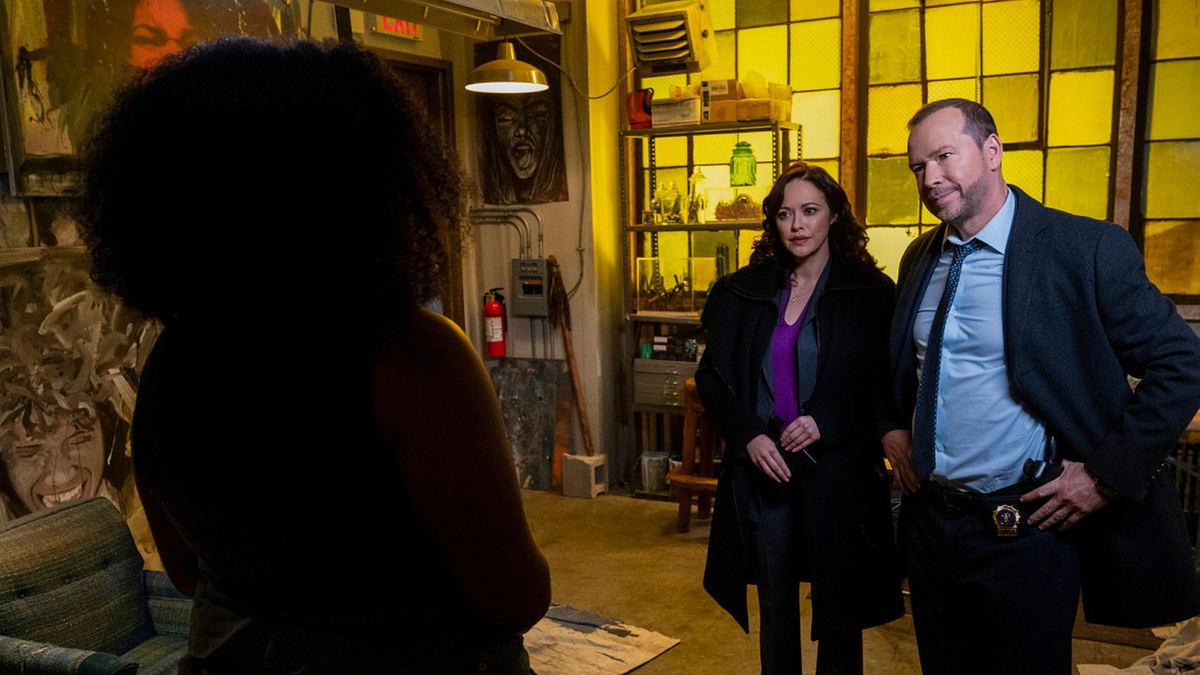 blue bloods - crime scene new york