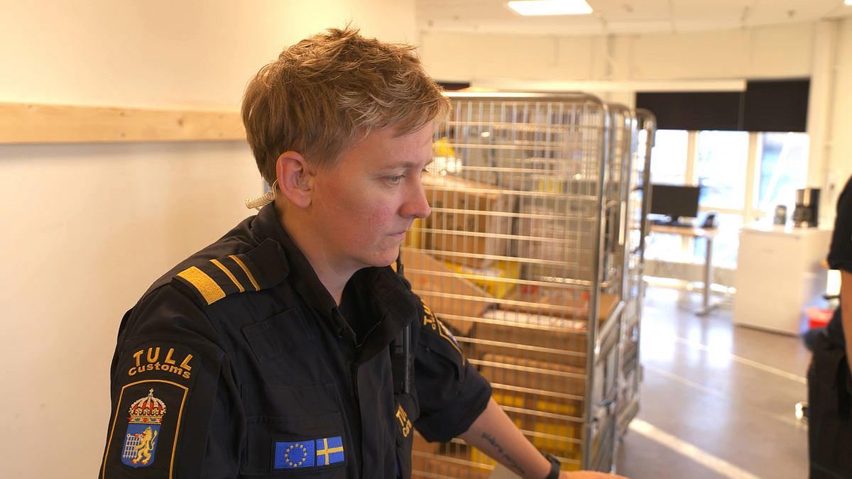 border control: schwedens grenzschützer