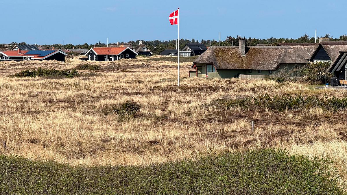 nordseereport