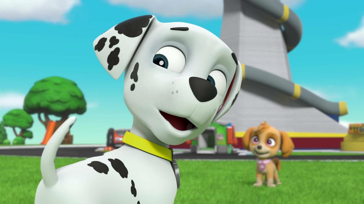 paw patrol - helfer auf vier pfoten