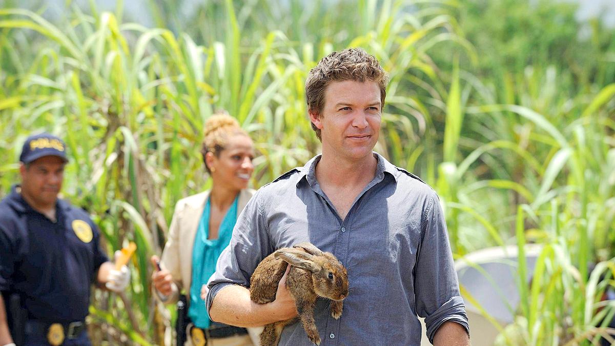 the glades