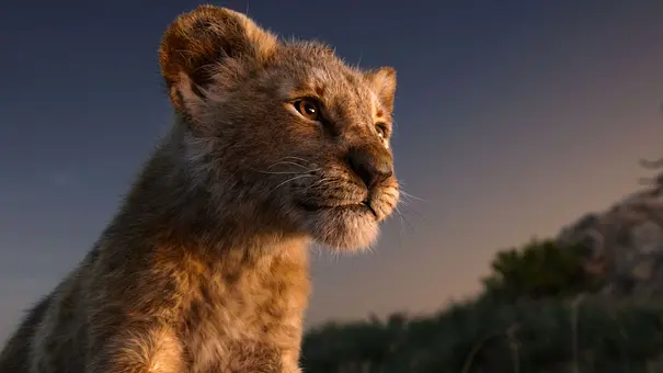 König der Löwen im TV Programm - Foto: 2019 Disney Enterprises, Inc. All Rights Reserved