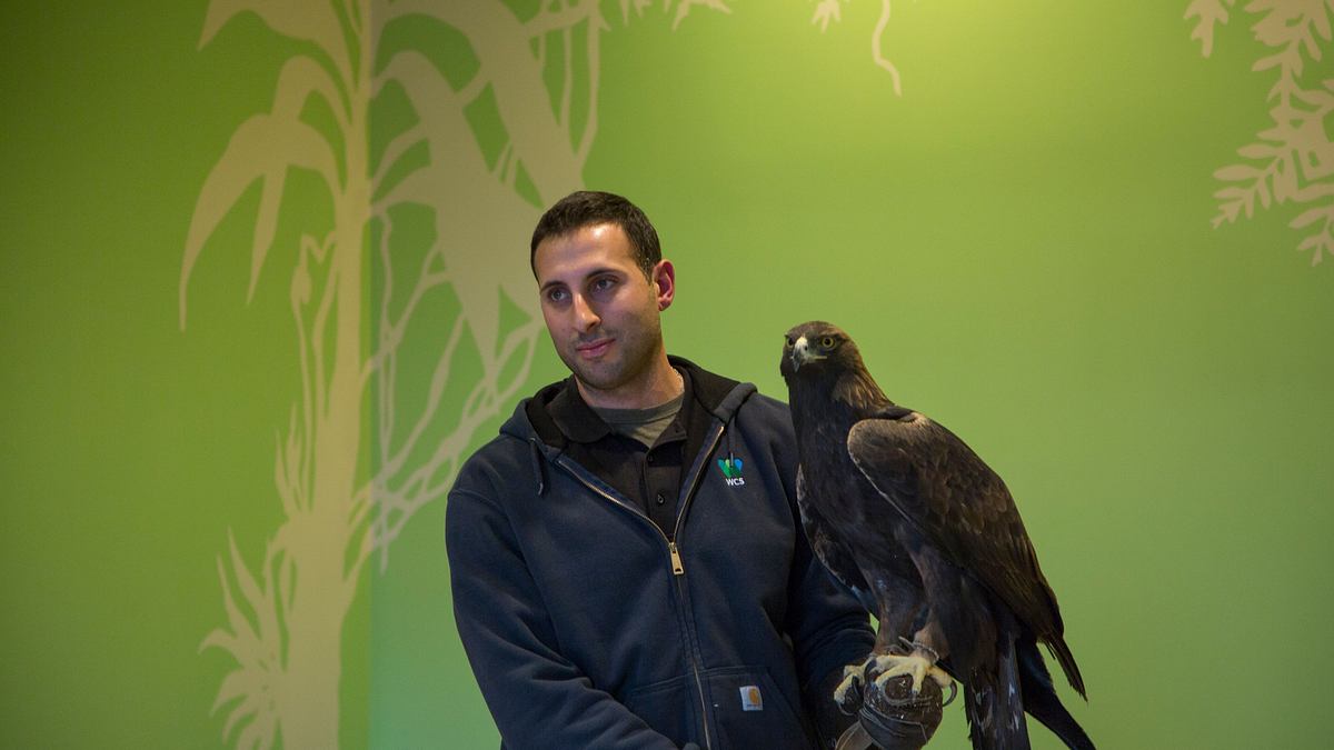 bronx zoo - tierpark der superlative