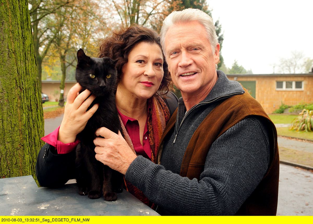 Das Glück ist eine Katze das glück ist eine katze
