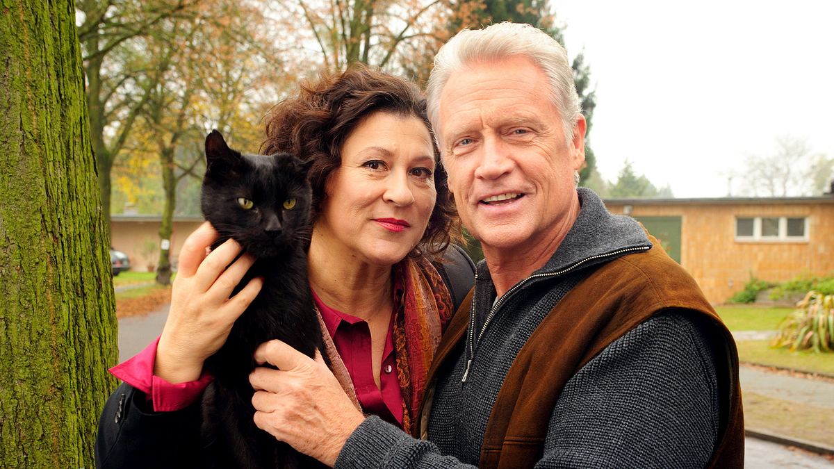 das glück ist eine katze
