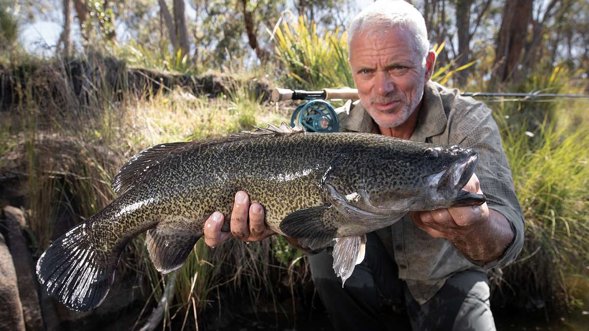 dark waters mit jeremy wade
