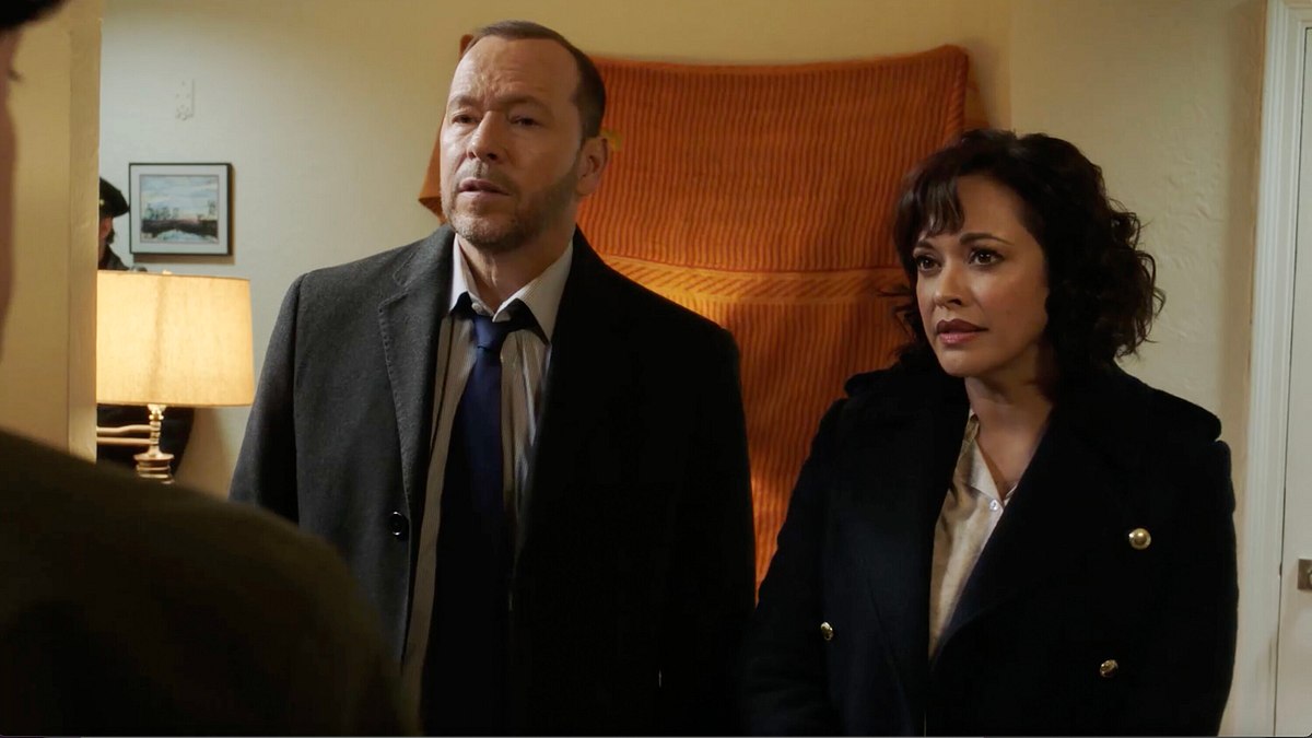 blue bloods - crime scene new york