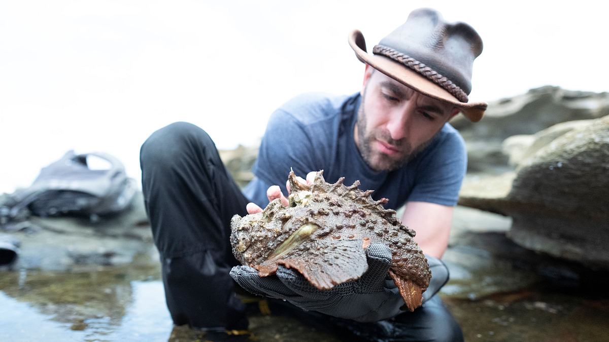 faszinierende tierwelt mit coyote peterson