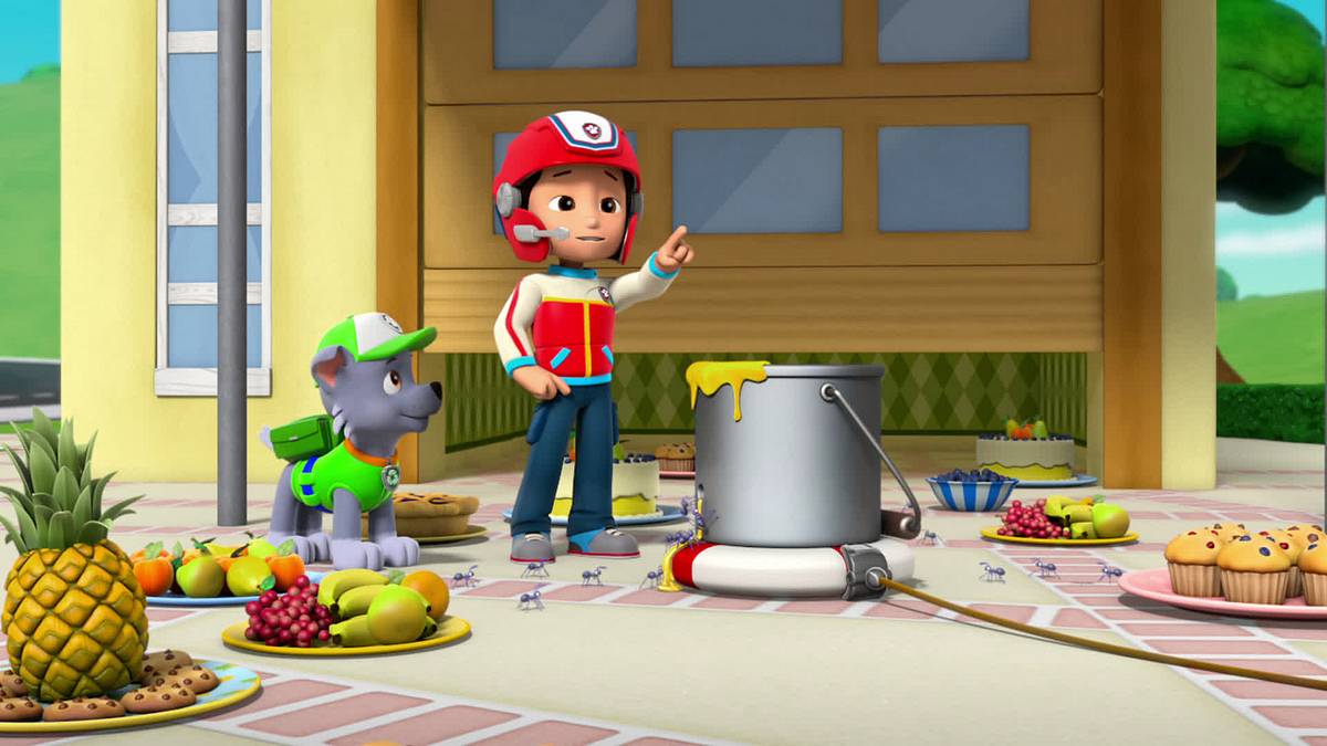 paw patrol - helfer auf vier pfoten