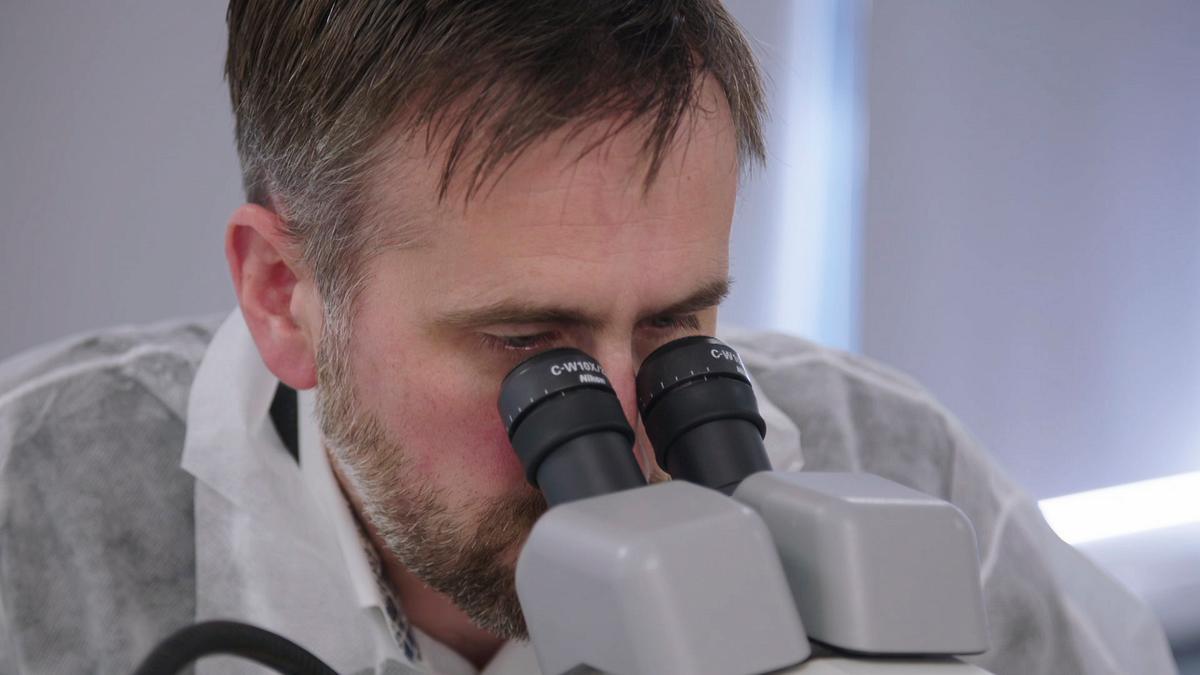 expert witness - forensiker auf spurensuche