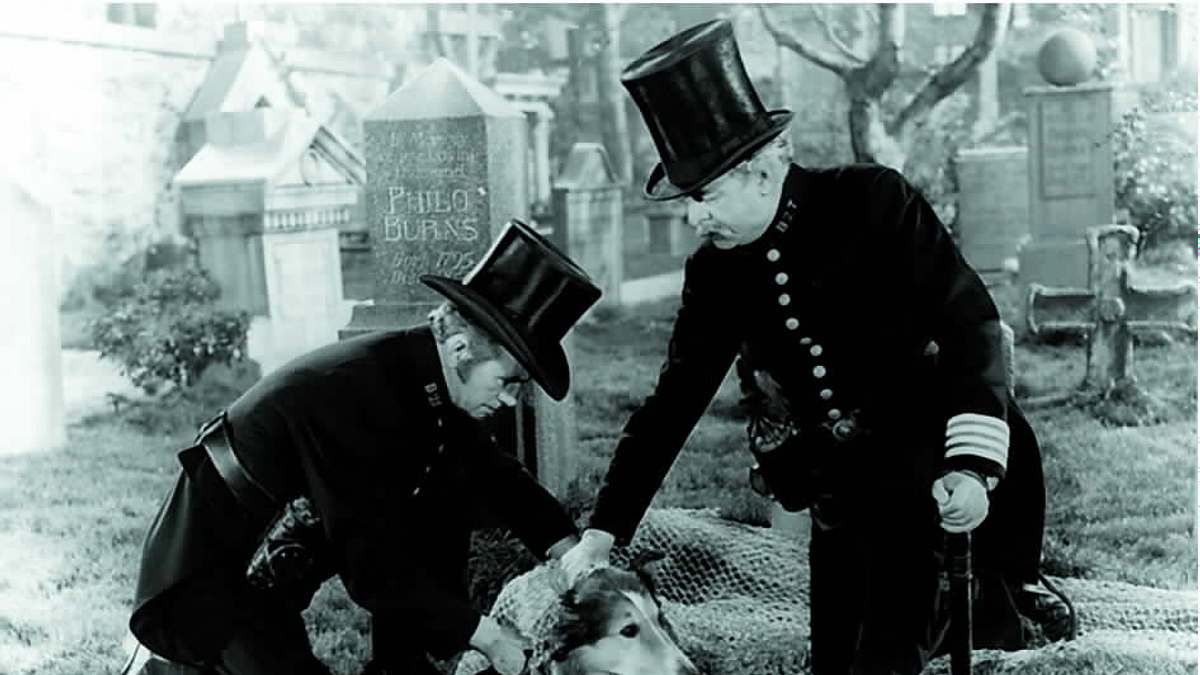 lassie in not