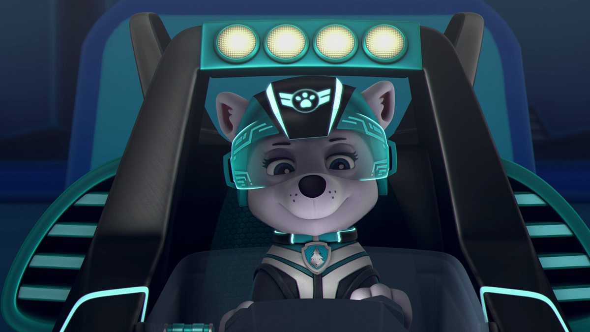 paw patrol: rettung im anflug