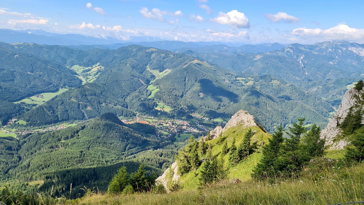 zurück zur natur