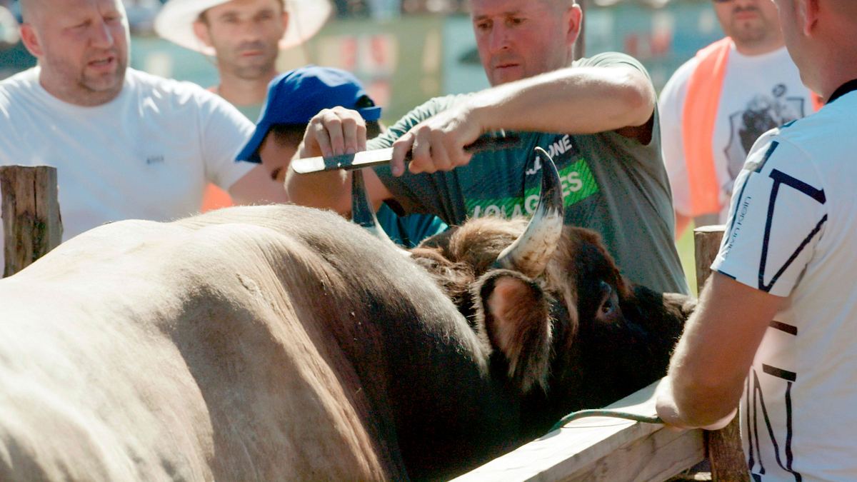 heute im osten - reportage