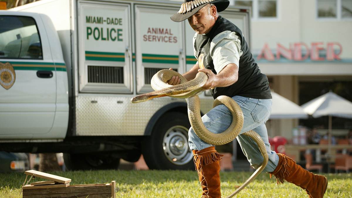 tierpolizei miami