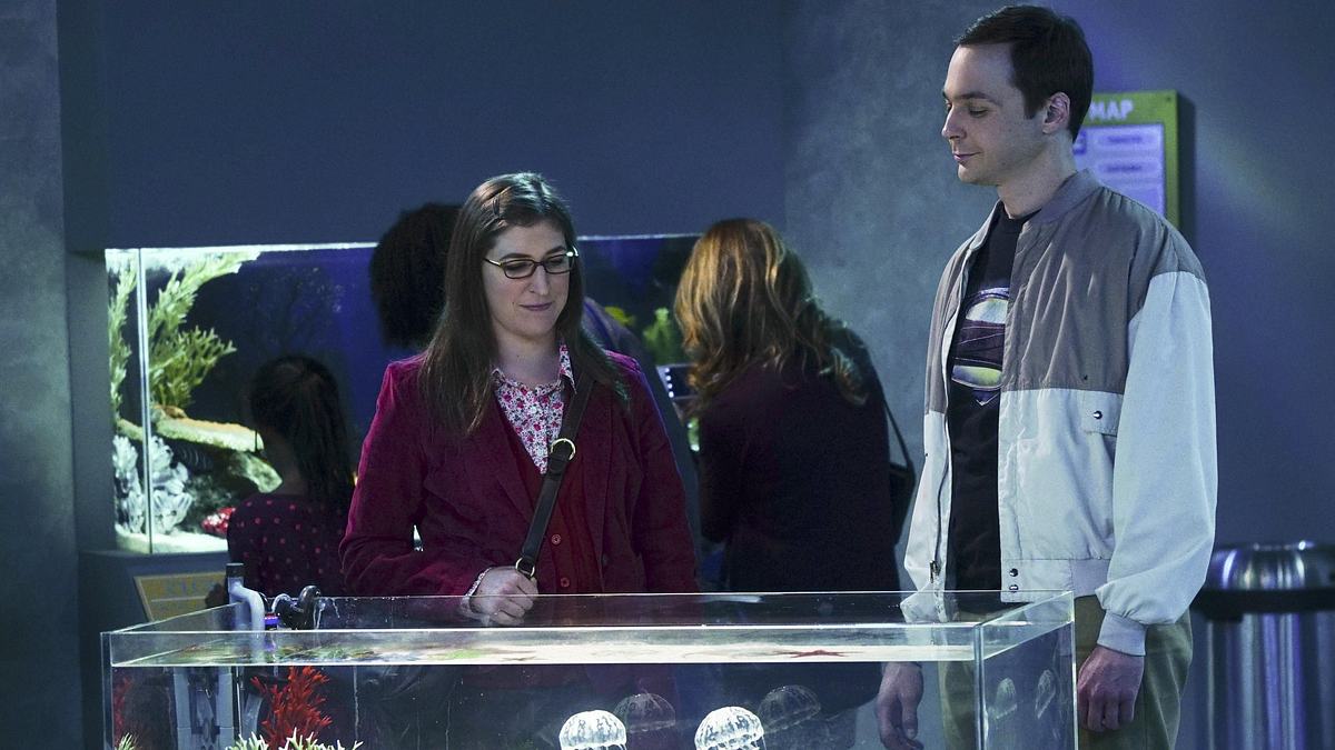 the big bang theory