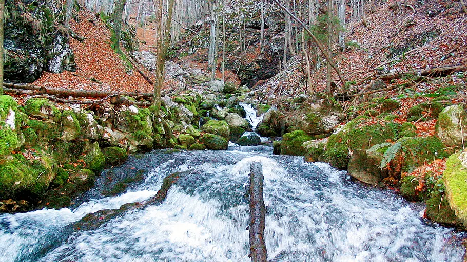 pielach - im garten der voralpen