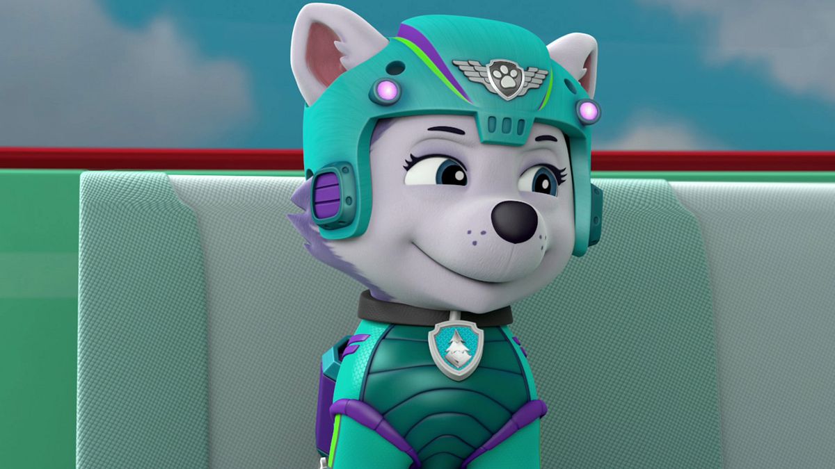 paw patrol - helfer auf vier pfoten