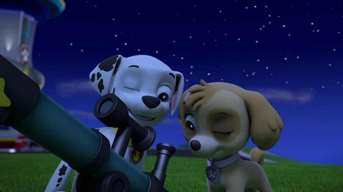 paw patrol - helfer auf vier pfoten