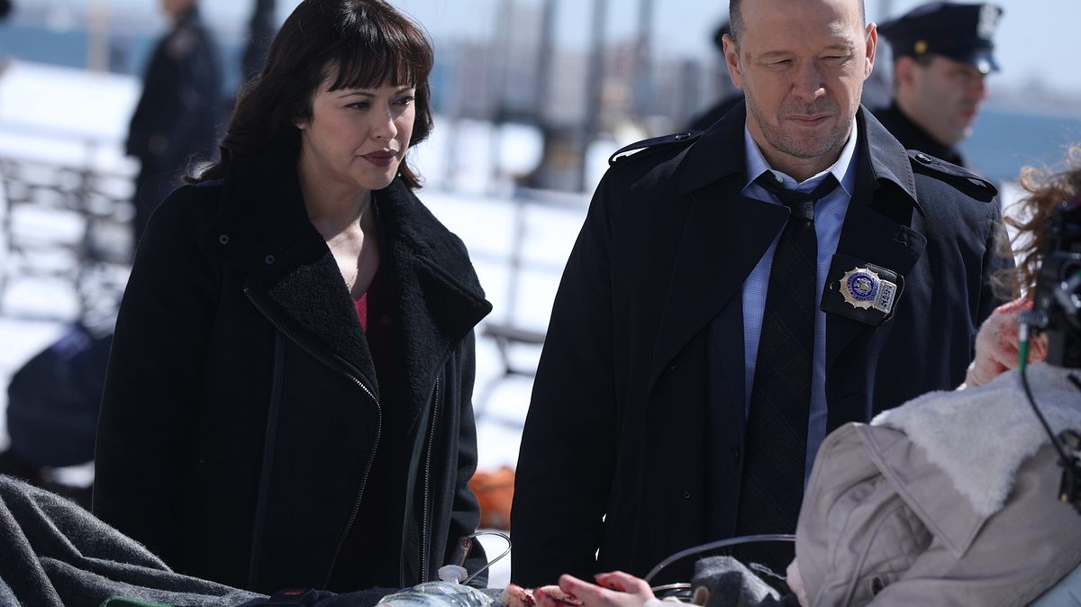 blue bloods - crime scene new york