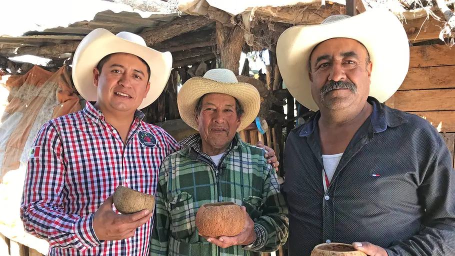unbekanntes mexiko