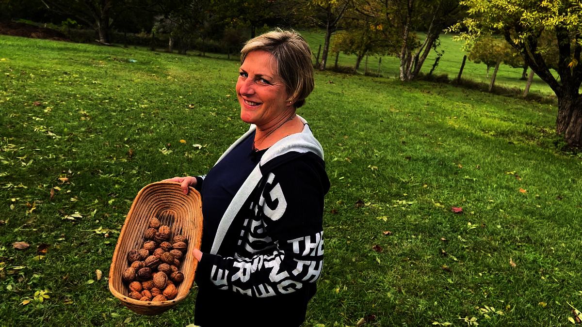 veggies united - die food korrespondenten