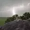 Serengeti - Wilde Geschichten aus der Savanne Thumbnail