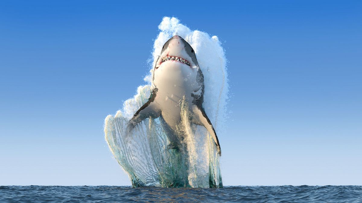 Air Jaws: Top Gun Sharks air jaws: top gun sharks
