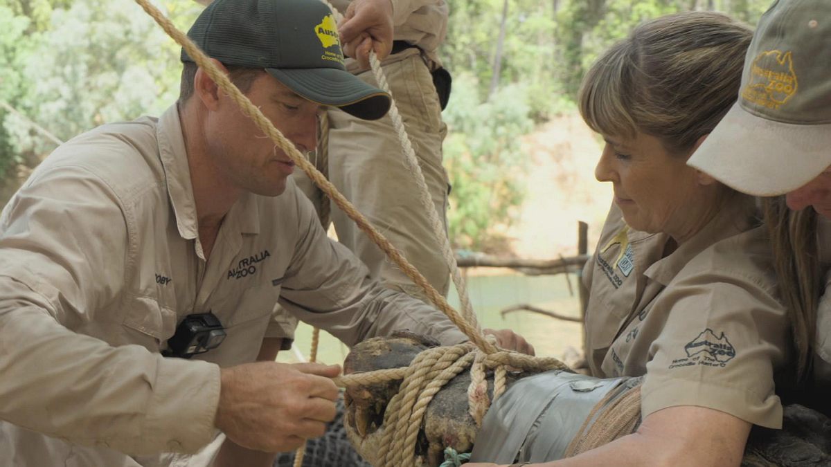 die irwins - crocodile hunter family