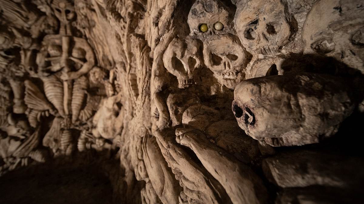 geheime welten - reise in die tiefe