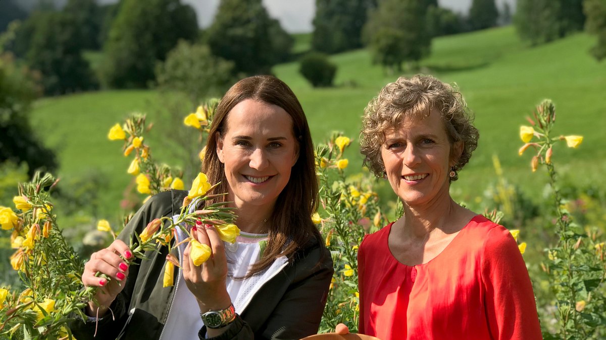 zurück zur natur