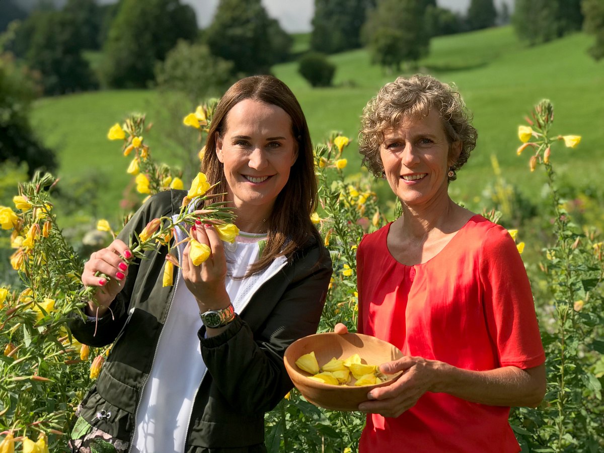 zurück zur natur
