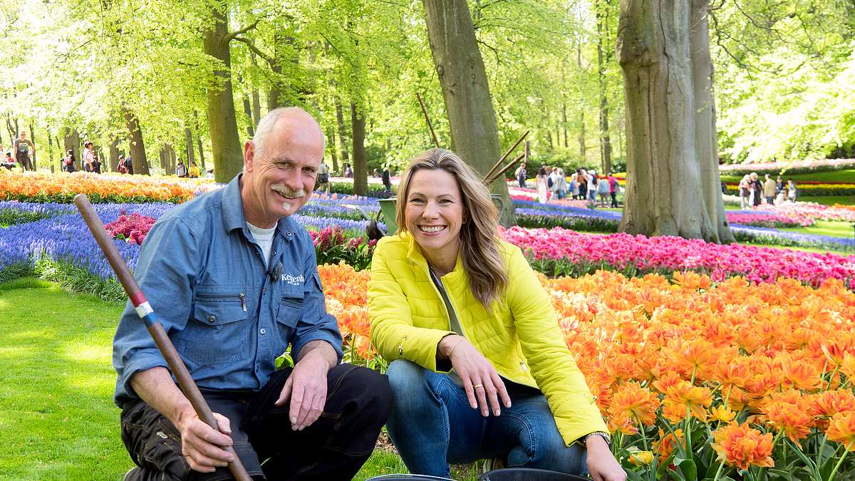 romantisches holland - zwischen tulpenpracht und königskrone
