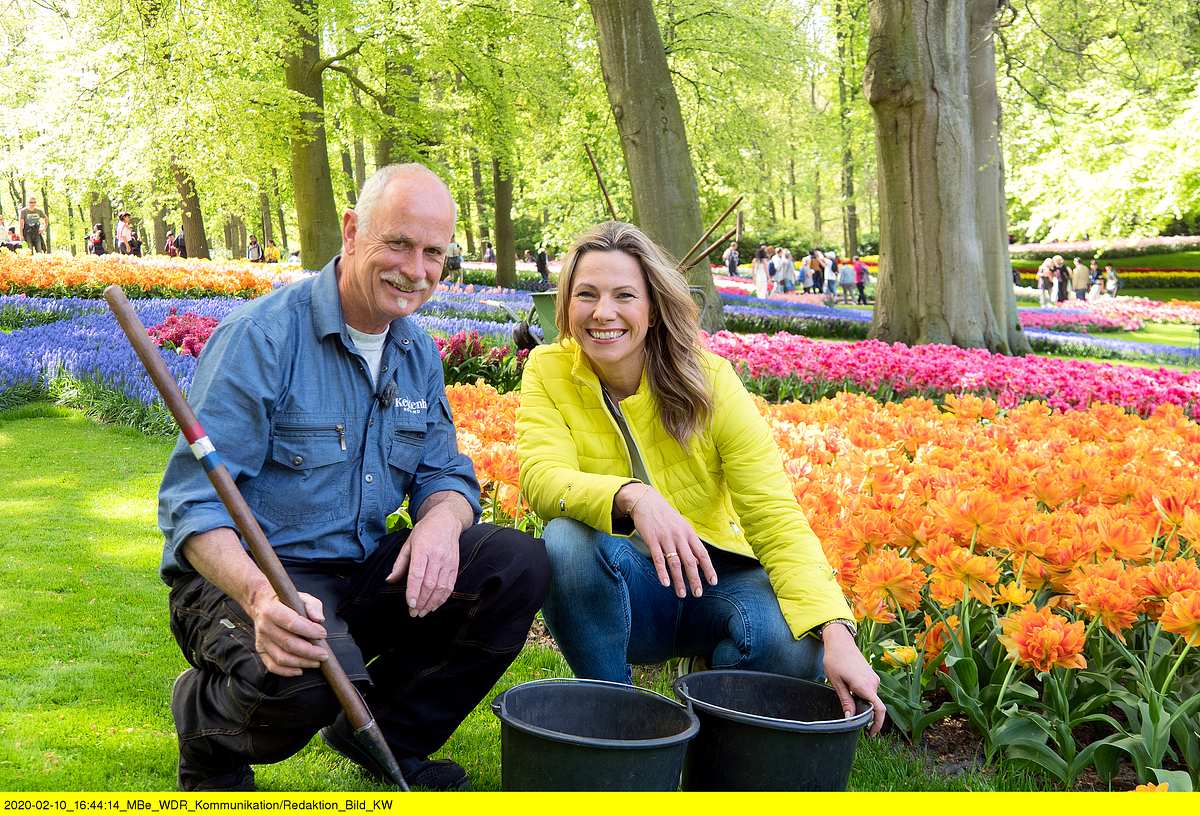 Romantisches Holland - Zwischen Tulpenpracht und Königskrone romantisches holland - zwischen tulpenpracht und königskrone