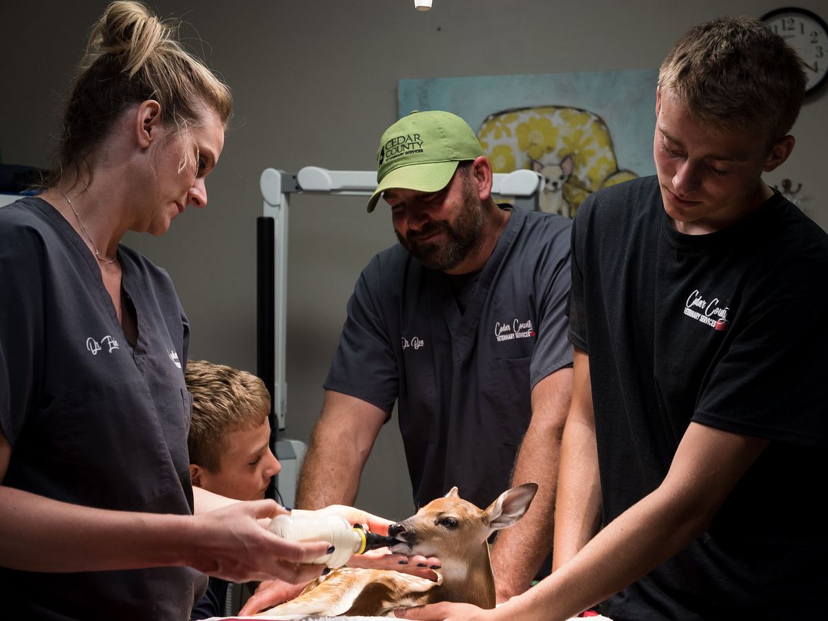 heartland docs - die tierarzt-familie