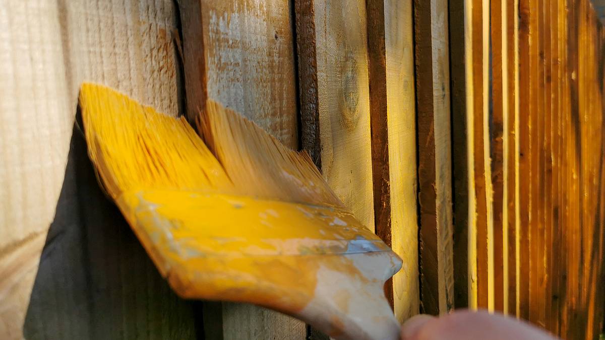 garden rescue: wer rettet meinen garten?