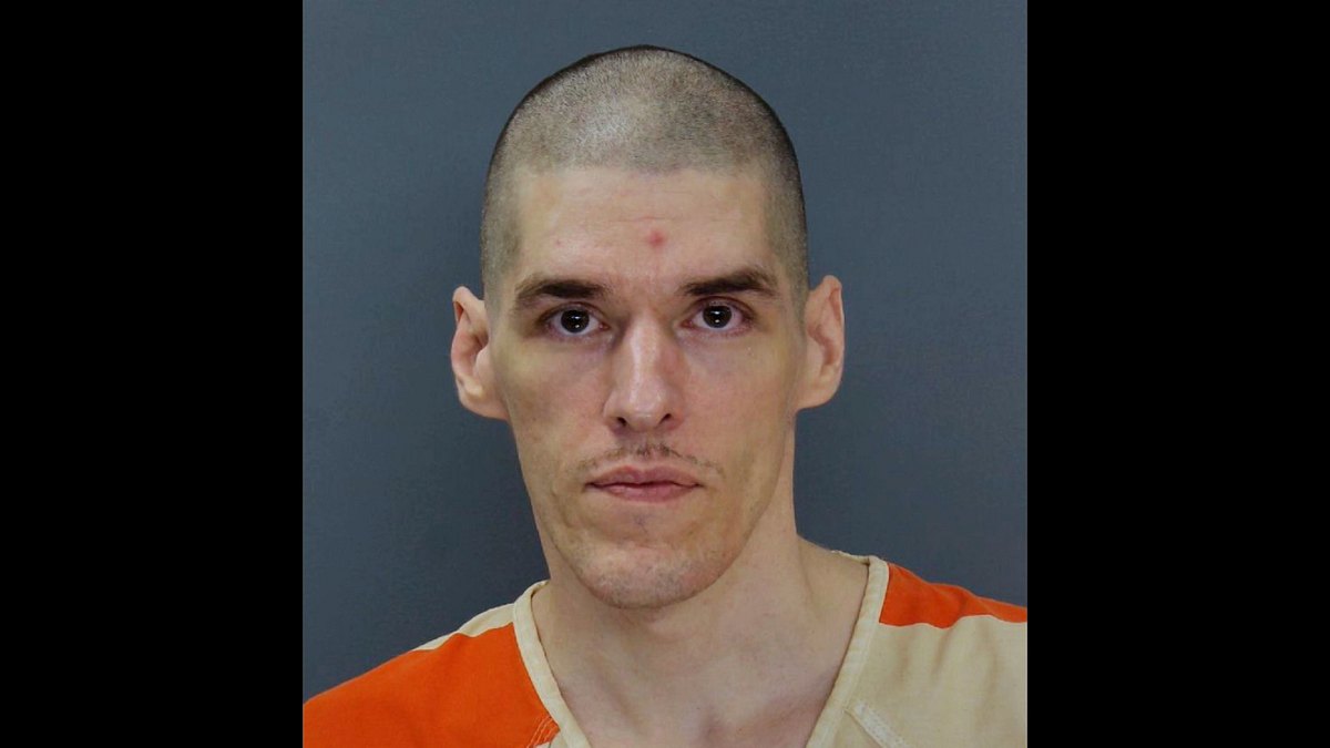 meet, marry, murder - mörderische partner