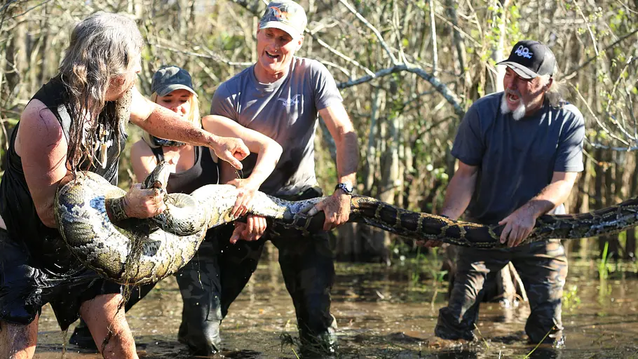 Die Pythonjäger - Einsatz in den Everglades die pythonjäger - einsatz in den everglades