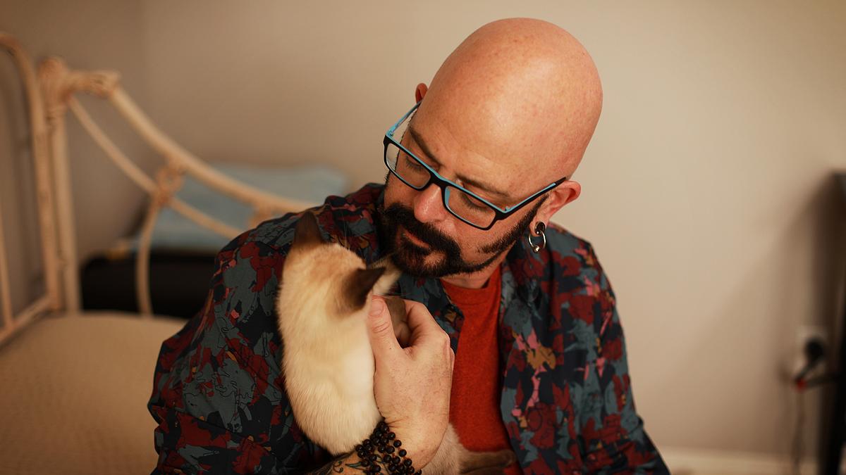 der katzenflüsterer