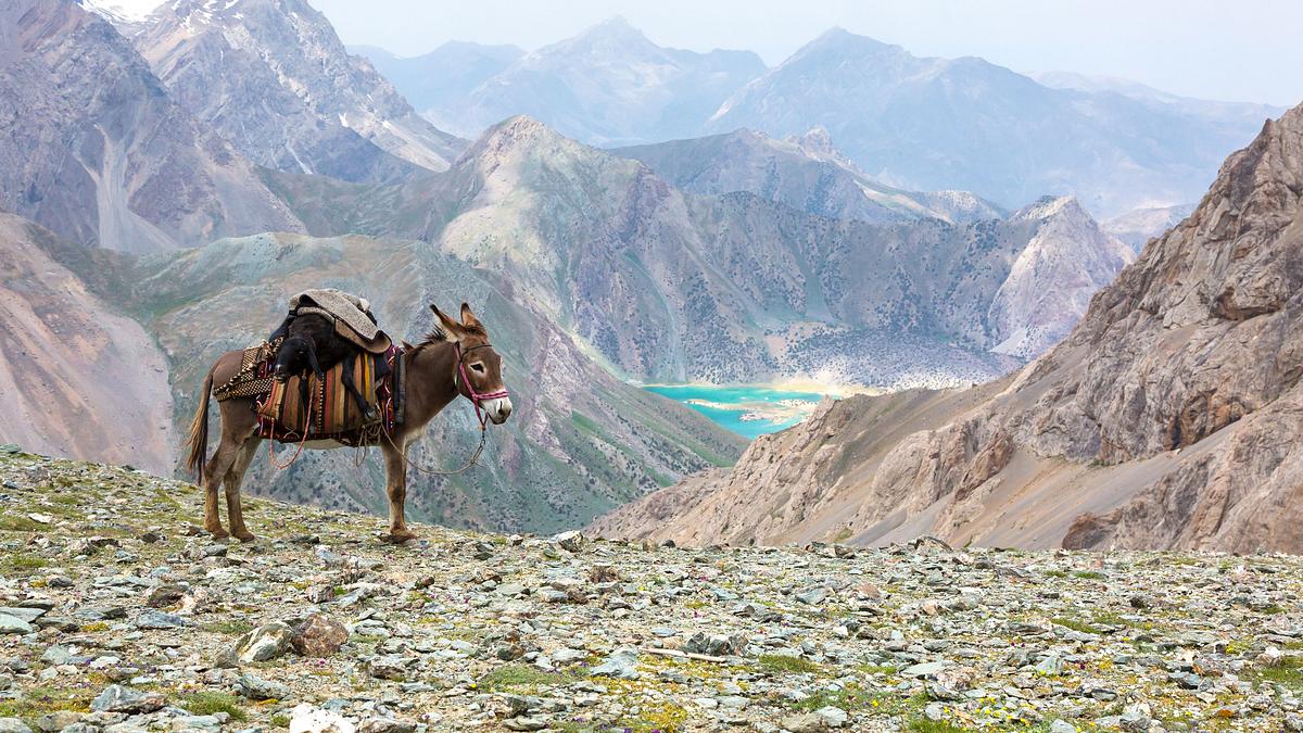 pakistans natur, ein fragiler schatz