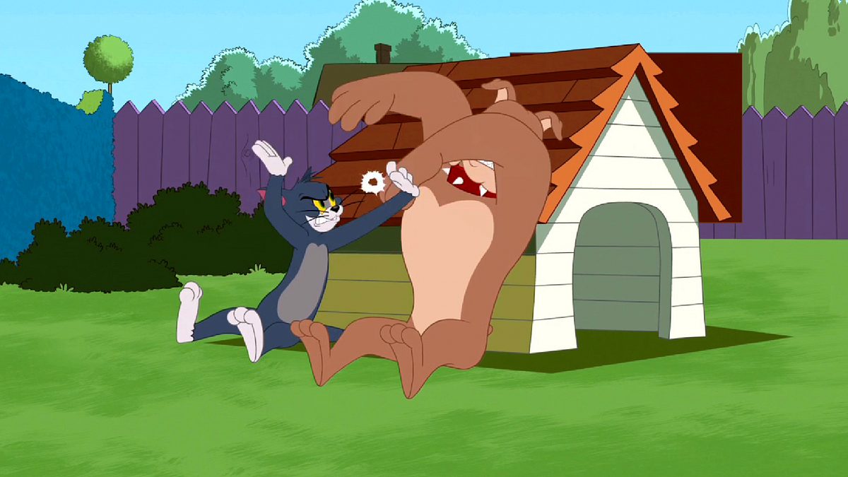 die tom und jerry show