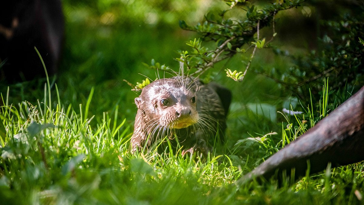 zoo und so - tierisch wild!
