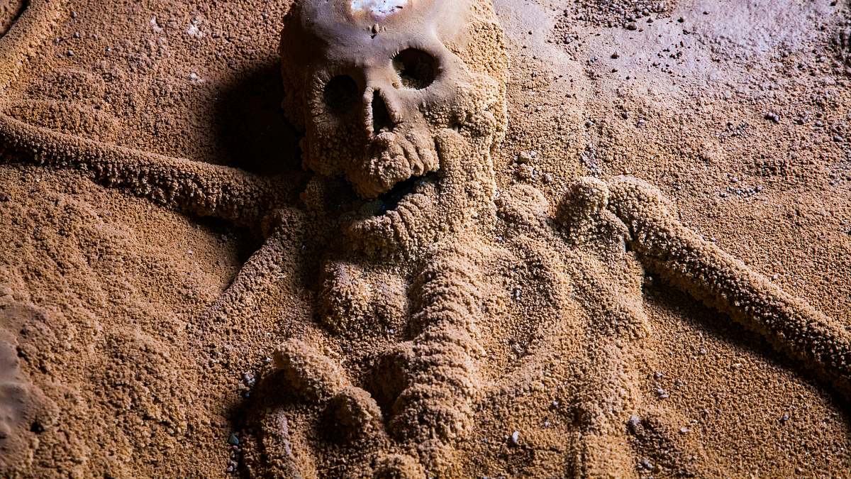 verborgen im dschungel - geheimnisse aus der vergangenheit