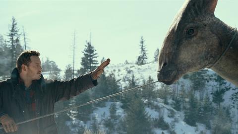 jurassic-world-filmkritik - Foto: 2022 Universal Studios and Amblin Entertainment. All Rights Reserved.